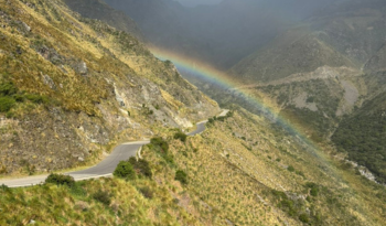 Título del artículo 5